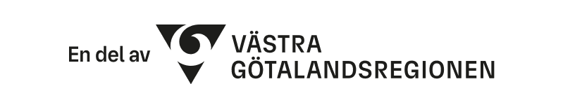 Vgr Footer Black
