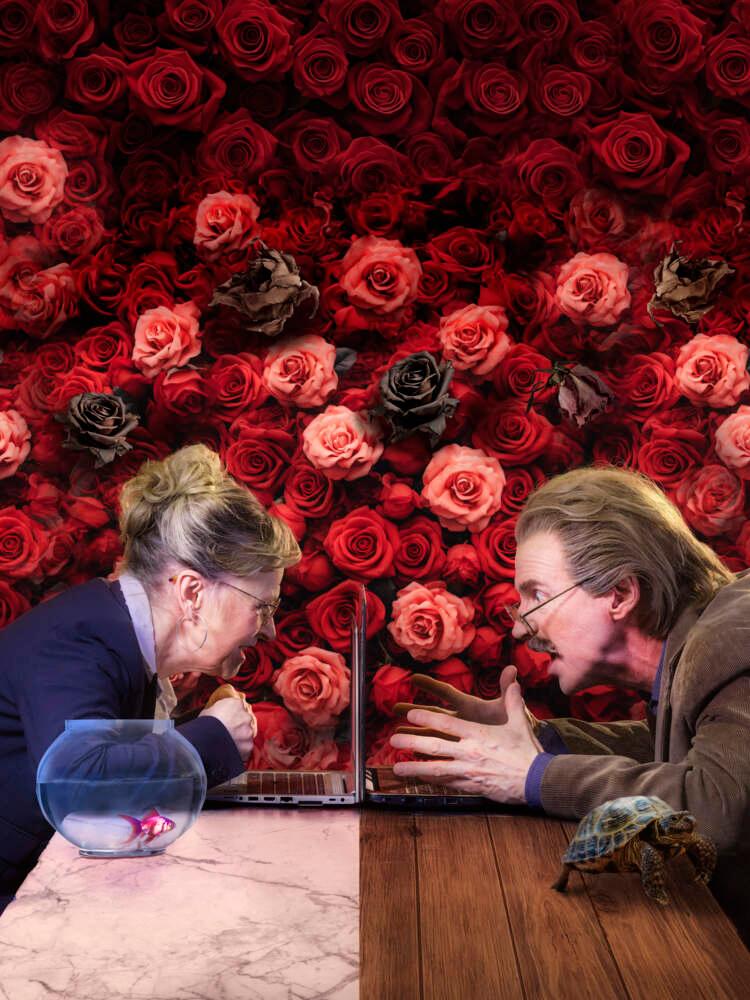 Ett par sitter mittemot varandra, men pratar och tittar på laptopskärmarna framför dem. Väggen bakom dem är täckt av rosor.