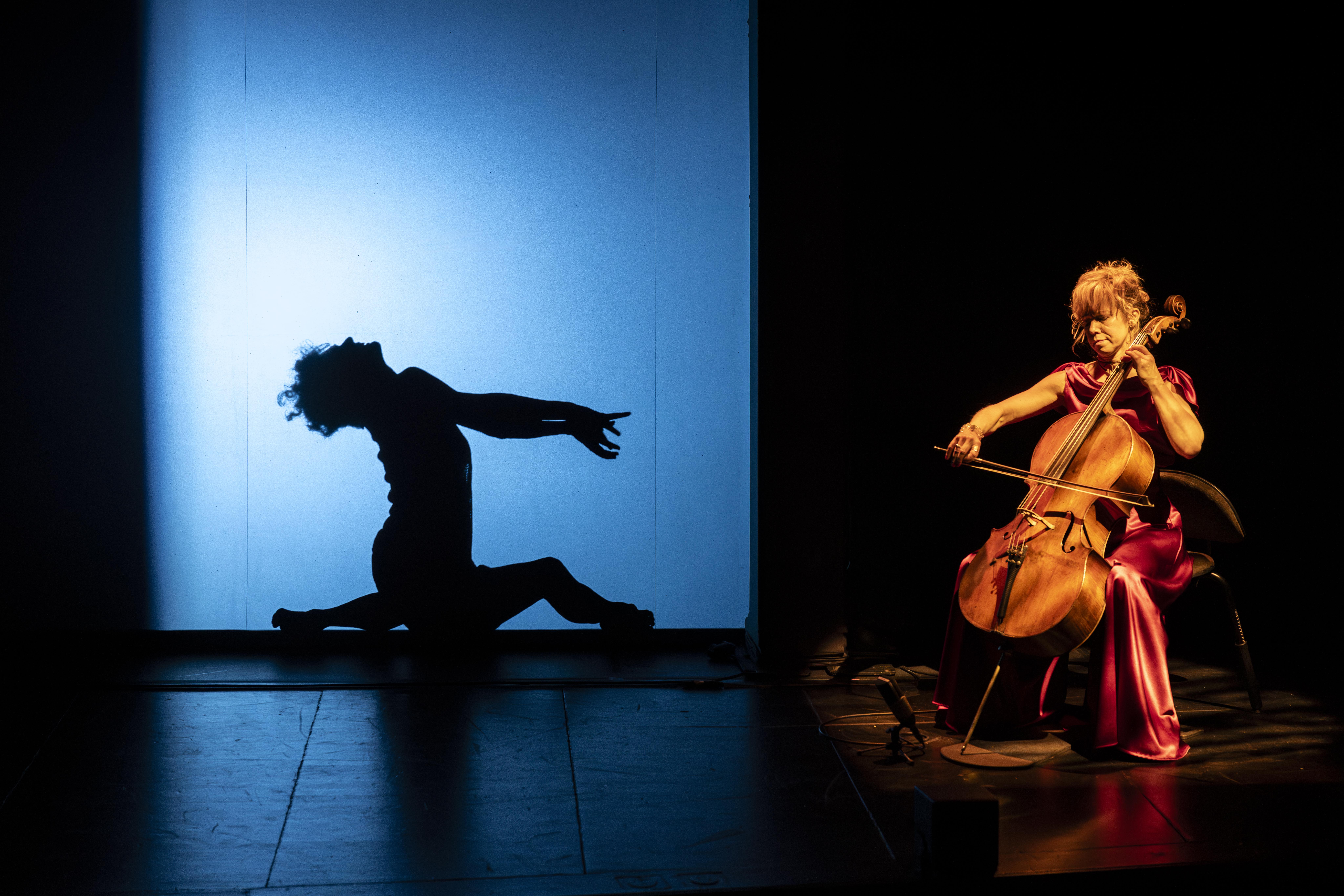 En cellist sitter och spelar under en spotlight. Till vänster om henne, bakom en blåbelyst skärm, syns en silhuett av Pierrot sittande med utsträckta armar.